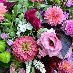 Meet your Posher, Mae